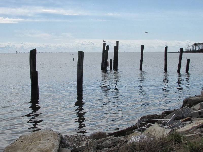 Heart and Sole A hike through NC's 'Down East'