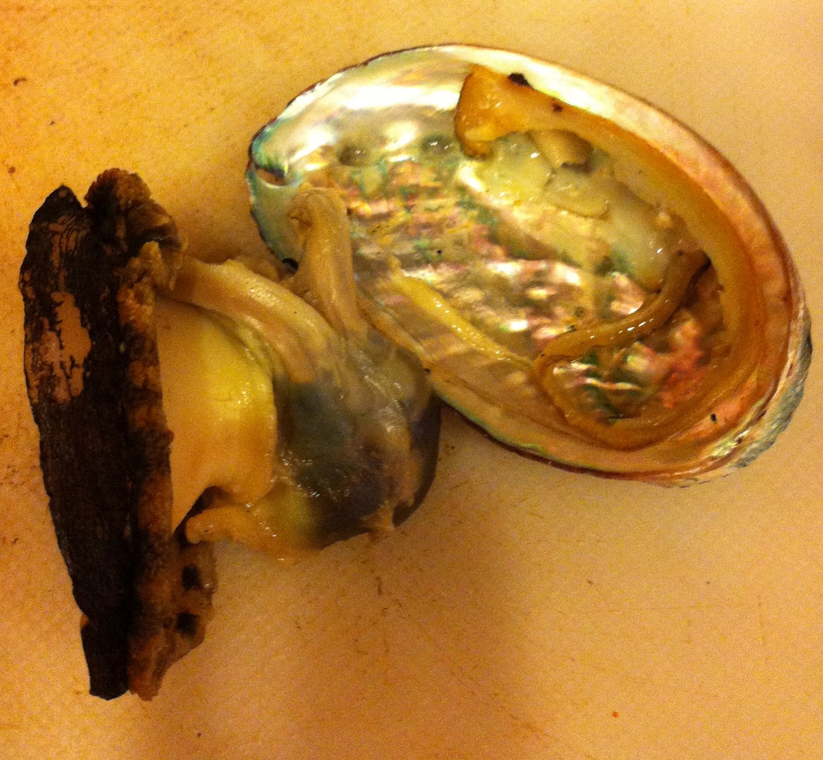 TASTE OF HAWAII BIG ISLAND ABALONE CORP ABALONE FROM COSTCO