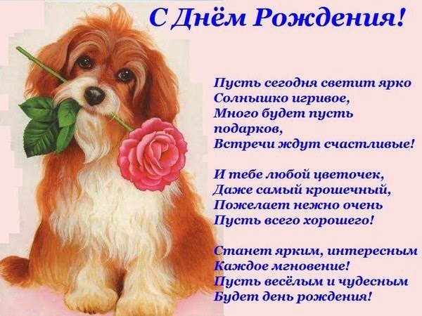 Поздравление близняшек с годиком Поздравление близняшек с годиком