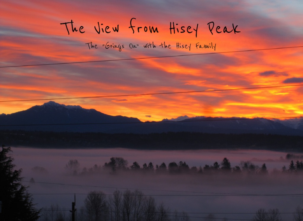 The View from Hisey Peak