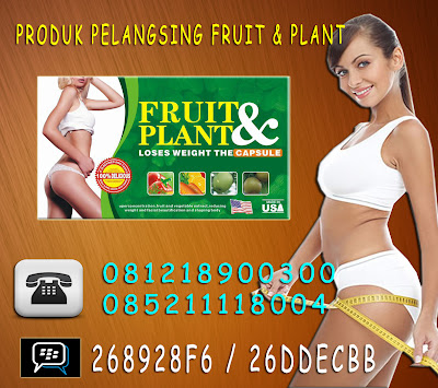  produk pelangsing herbal » Fruit & Plant Herbal HP. 085211118004 PIN BB : 268928F6 / 26DDECBB PRODUK+PELANGSING+FRUIT+PLANT