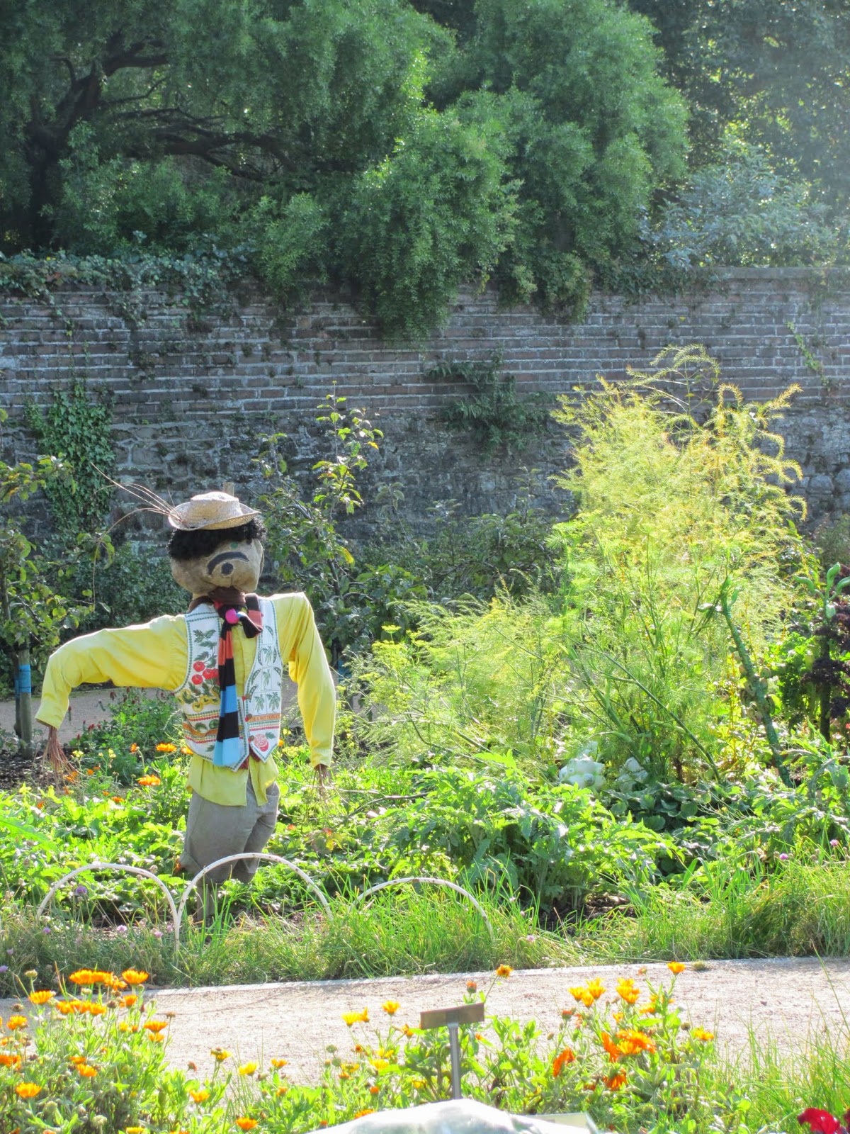 Kitchen Garden Scarecrow Kitchen Garden Scarecrow National Botanic Gardens Dublin