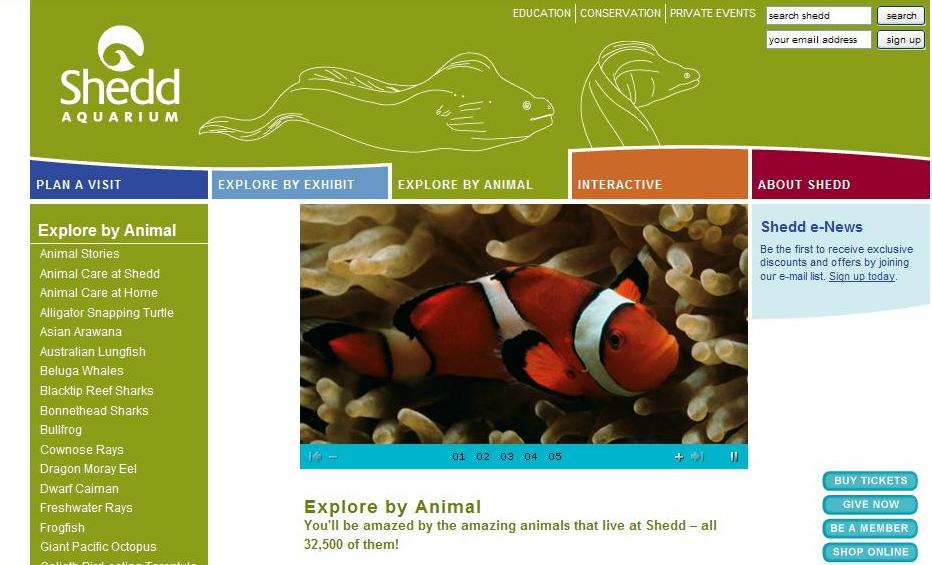 HTS 3rd Grade Technology Blog: Ocean Websites for Research