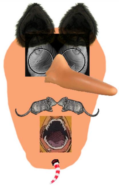 TIM KALEMKARIAN TIM KALEMKARIAN