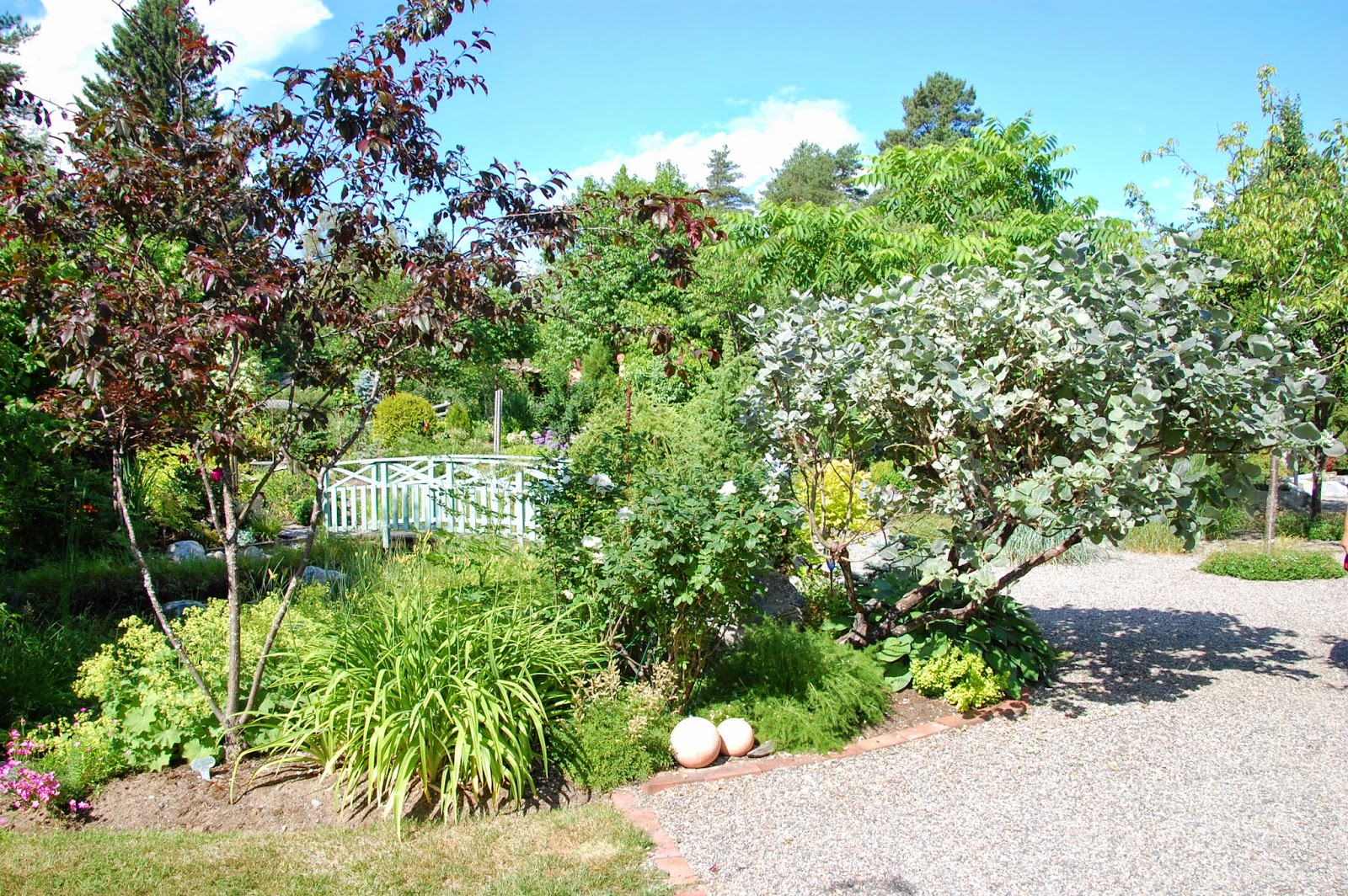 Svanå trädgård: wennstigs trädgård i hortlax.