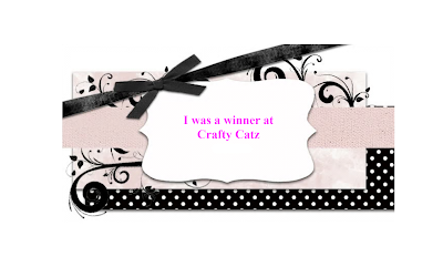 A Top Three  Placement at Craft Catz CHG 3ly470