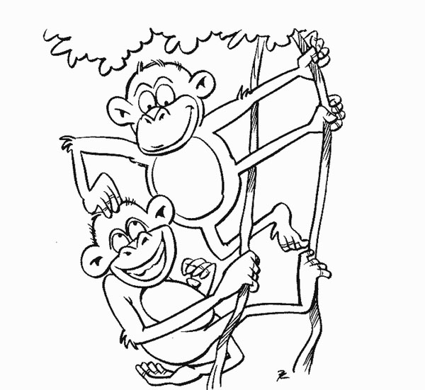Coloring Pages Of Zoo Animals - Best Coloring Pages Collections