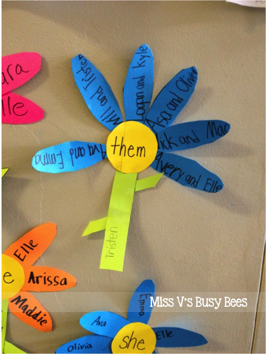 Miss V's Busy Bees Pronoun Flowers A Pronoun Activity