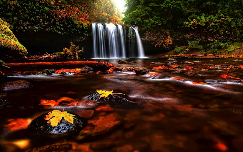 cascadas de agua relajante