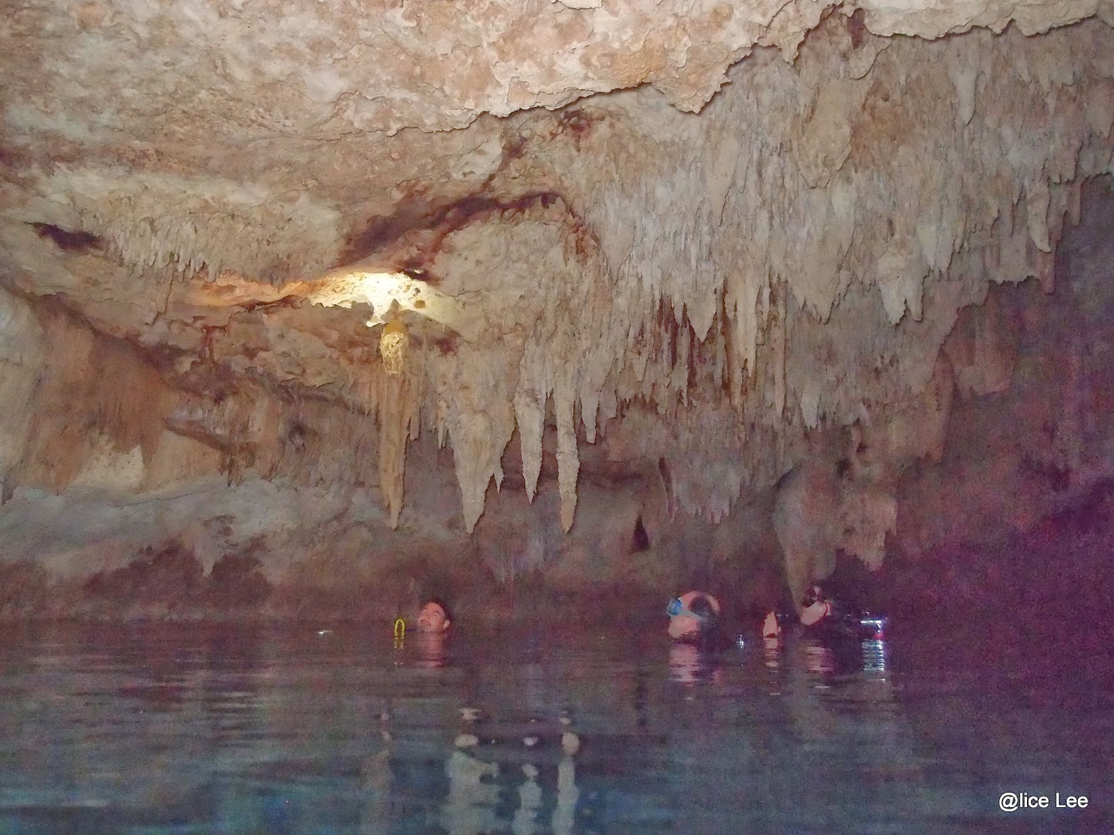 Where I Dive Cenote Dos Ojos & Bat Cave, Mexico