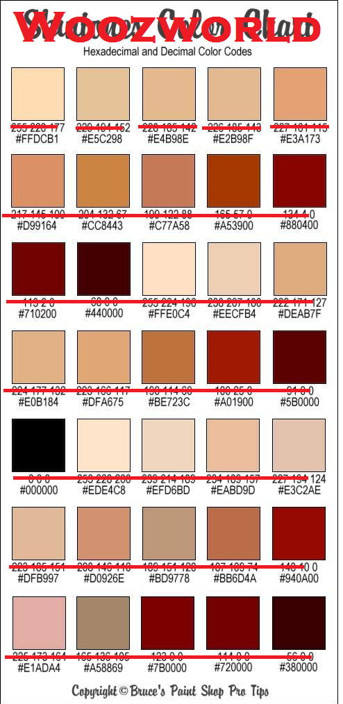 Wooz World Secret Adventurez: Skin Colour Codes!! c: Wooz World Secret Adventurez: Skin Colour Codes!! c: