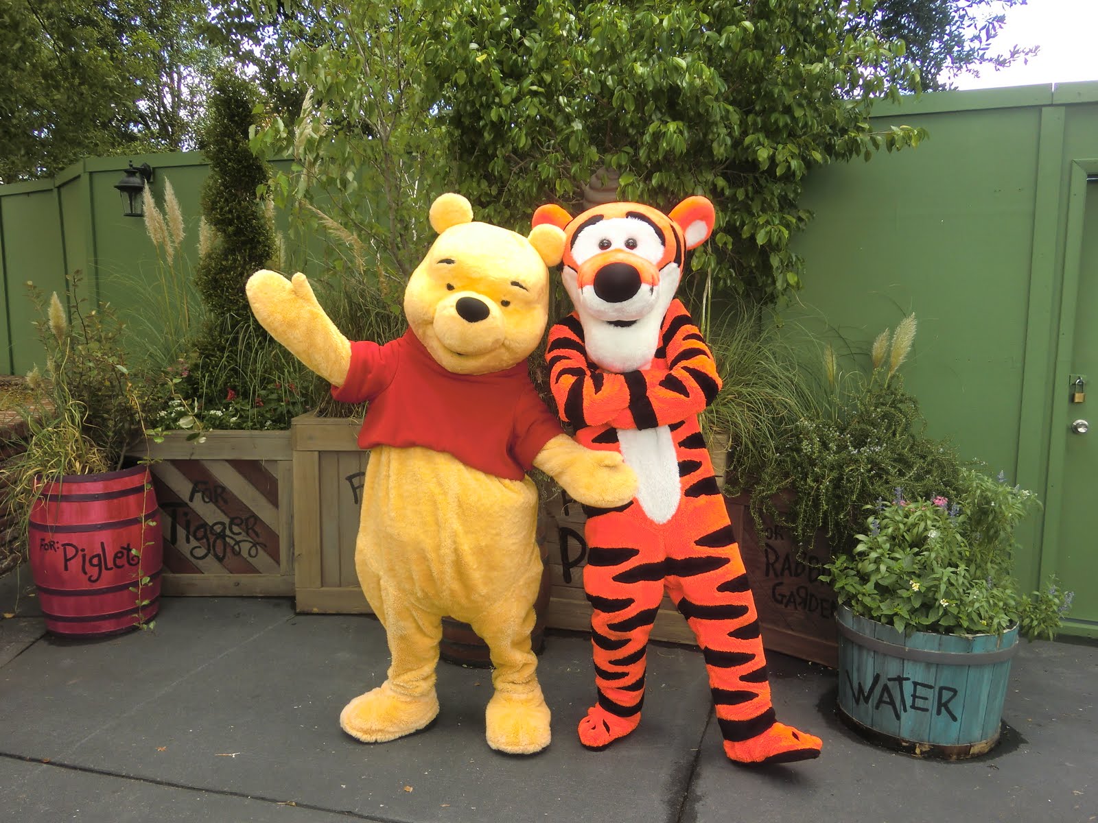 Tiger And Pooh