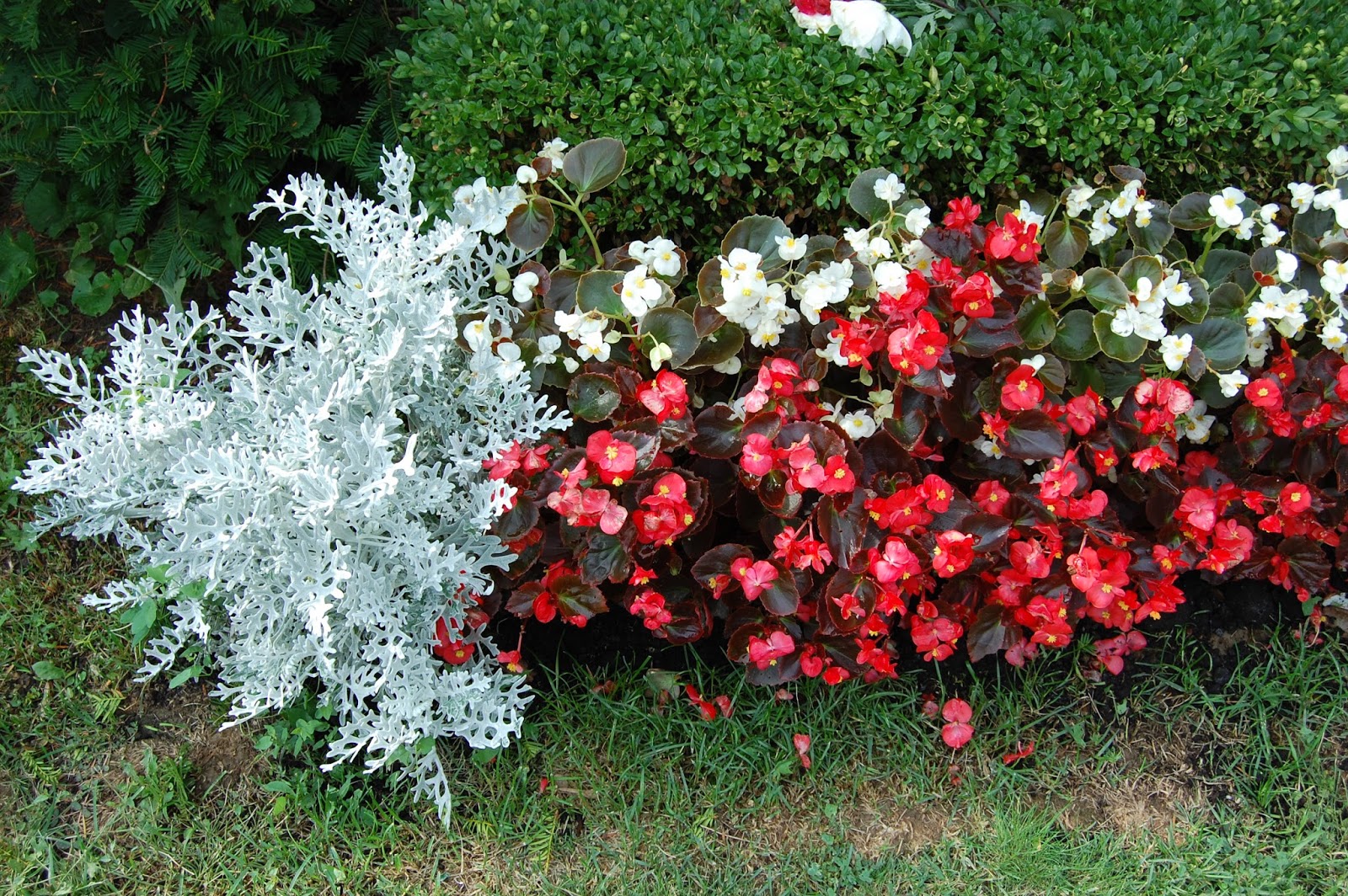 Astrid�s Garden Design Cemetery Plants