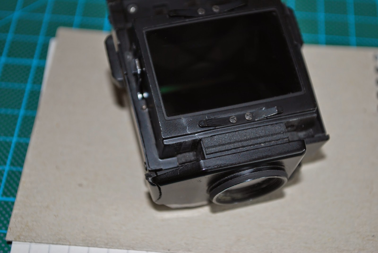 DSC_2521.JPG