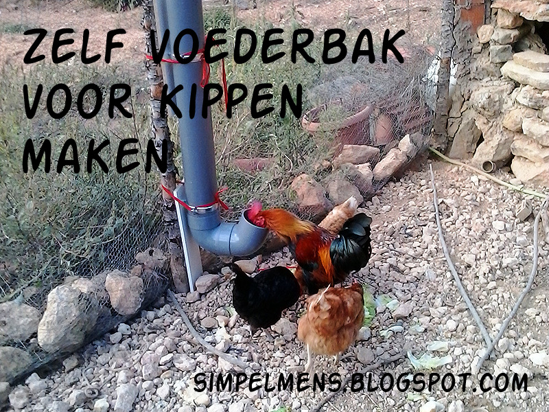 SimpelMens Zelf voederbak voor kippen maken