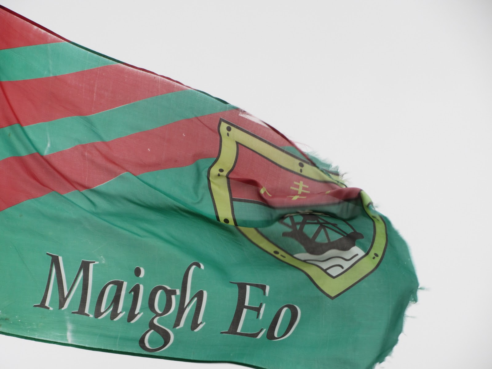 Coming Back to Ireland: September 2011