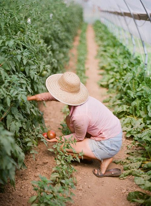 La Maison Boheme A Straw Hat for Gardening