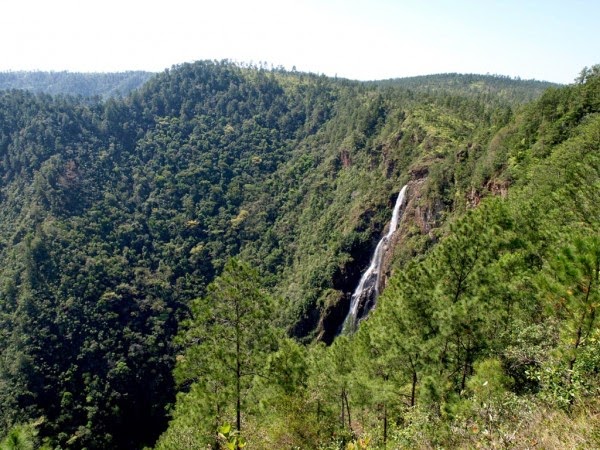 Hidden Valley Falls (Thousand Foot Falls), Belize