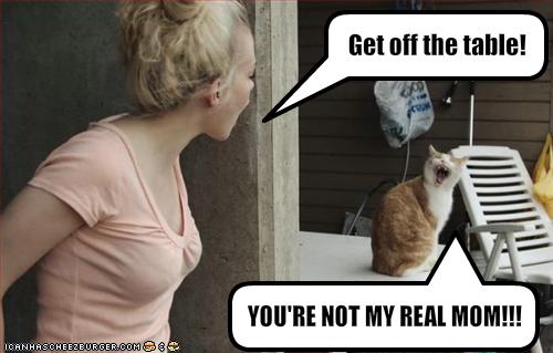 funny-pictures-cat-and-human-argue.jpg