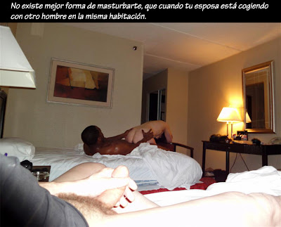 Talkies talkies Cornudos pa q disfruten