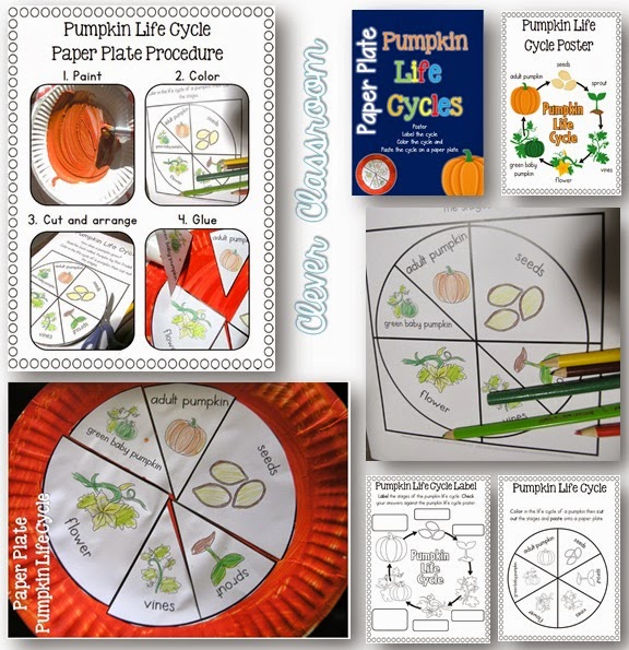 Paper Plate Pumpkin Life Cycle