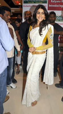 Actress Genelia In White Saree Photos Gallery