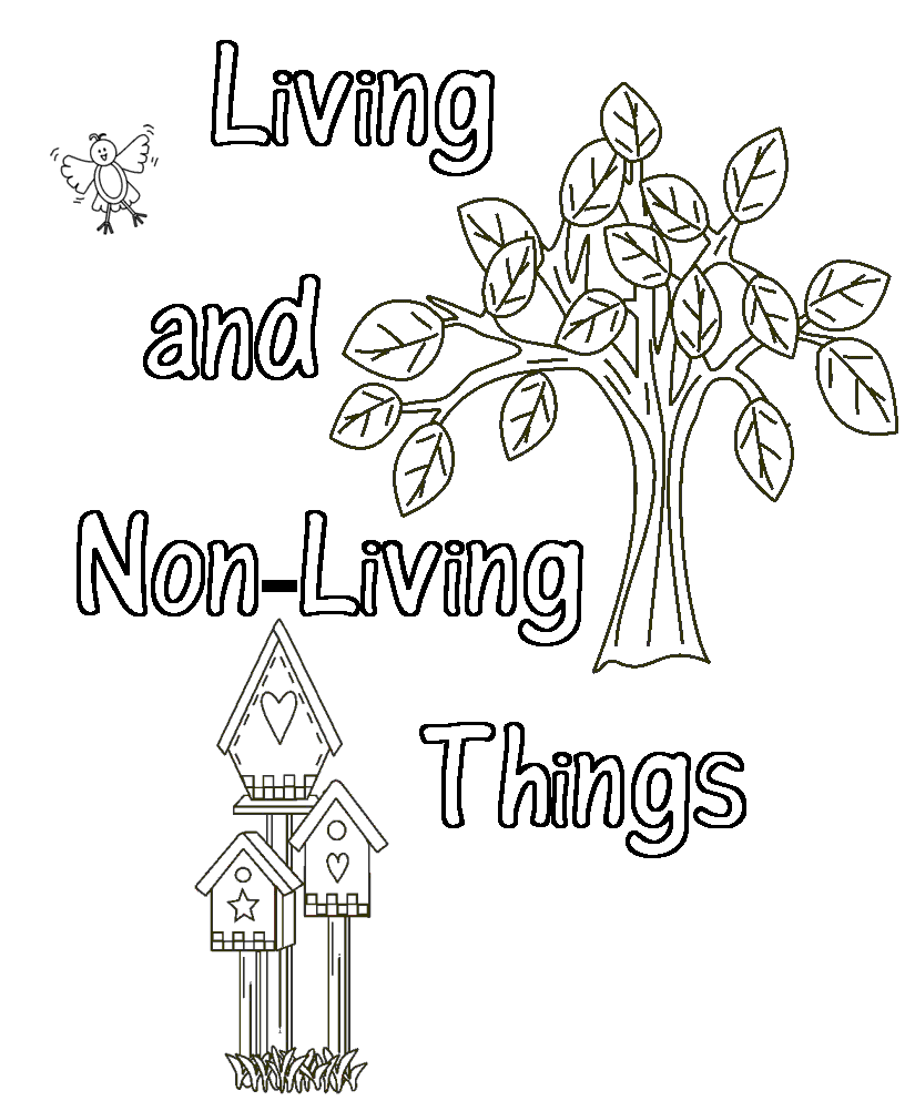 956 Animal Living Things Coloring Pages 