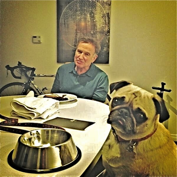 robin williams pug boomerbeat humor robin williams pug boomerbeat humor