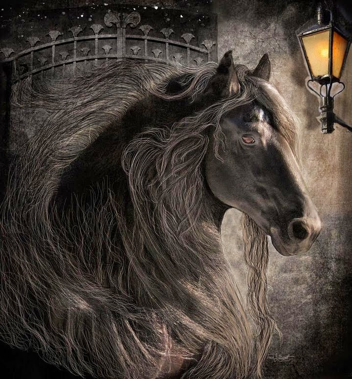 pura-sangre-fotografias-de-cabezas-de-caballos-negros caballos-negros-fotos-artisticas