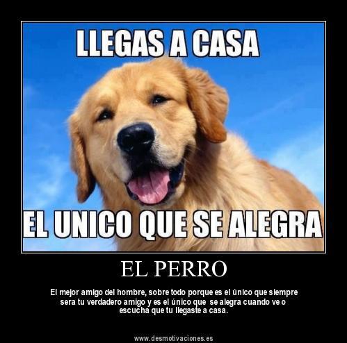 El perro el mejor amigo del hombre