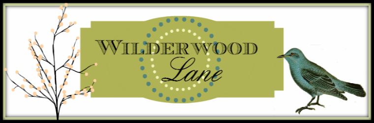 Wilderwood Lane