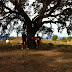24-Marzo Jueves Santo LA GRAN RUTA DE CARRASCOY