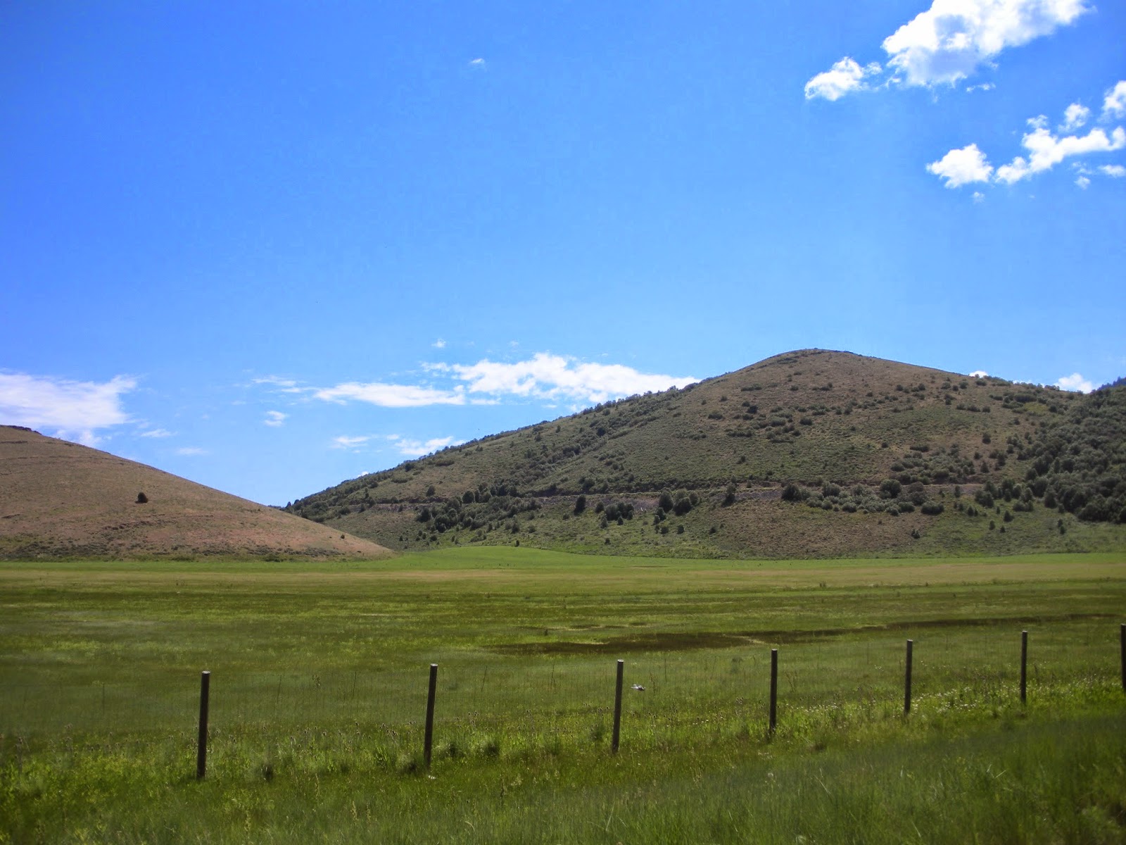 The Mystery Of Utah History Sardine Canyon Utah’s Biggest Fish Story?