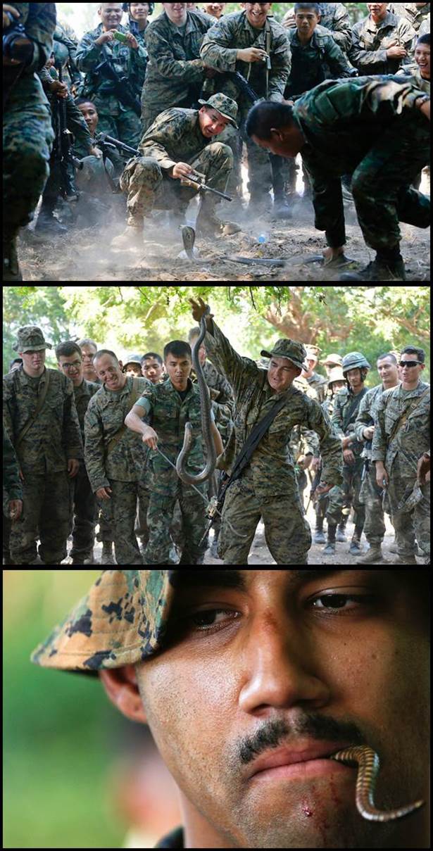 latihan ikhtiar hidup cobra gold 2013 latihan ikhtiar hidup cobra gold 2013