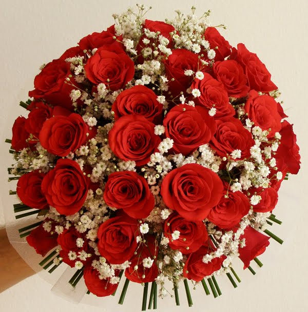 jardim rosas vermelhas:que seria de um jardim cheio de flores se um dia as belas rosas jardim rosas vermelhas:que seria de um jardim cheio de flores se um dia as belas rosas