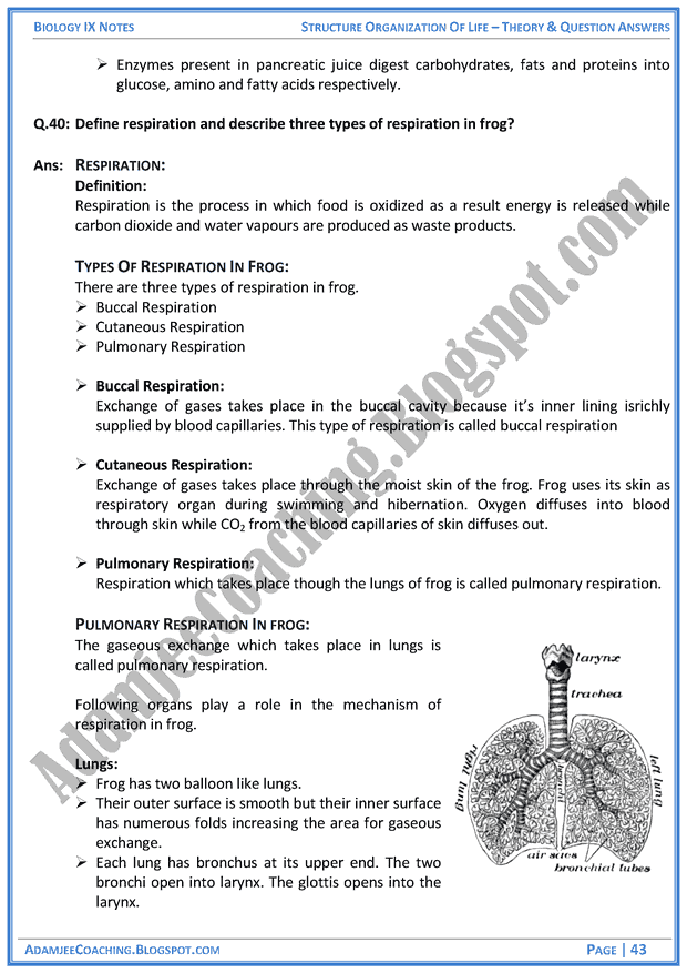 structural-organization-of-life-theory-notes-and-question-answers-biology-notes-for-class-9th