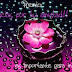 ¡Otro premio para el blog!