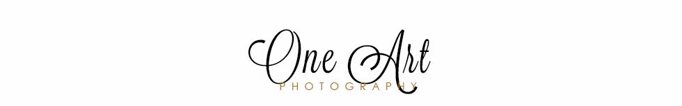One Art Photography