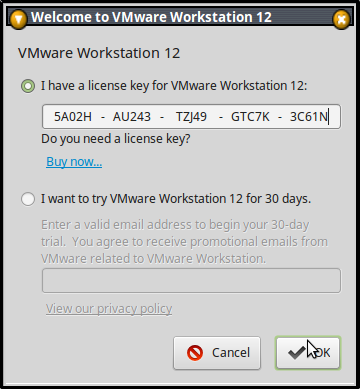 vmware workstation 10 with serial key