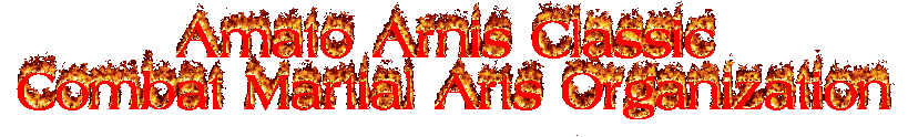Amato Arnis Classic Combat Martial Arts Organization