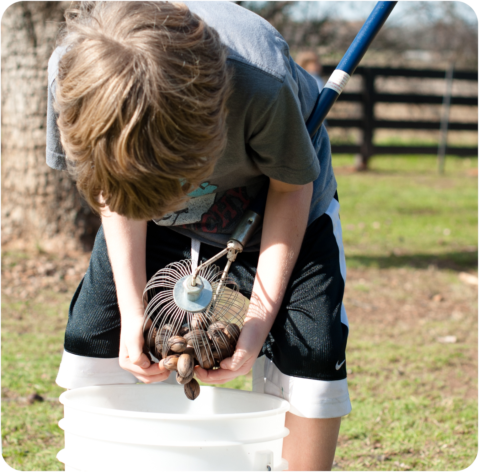 eyes to see southern pecans.