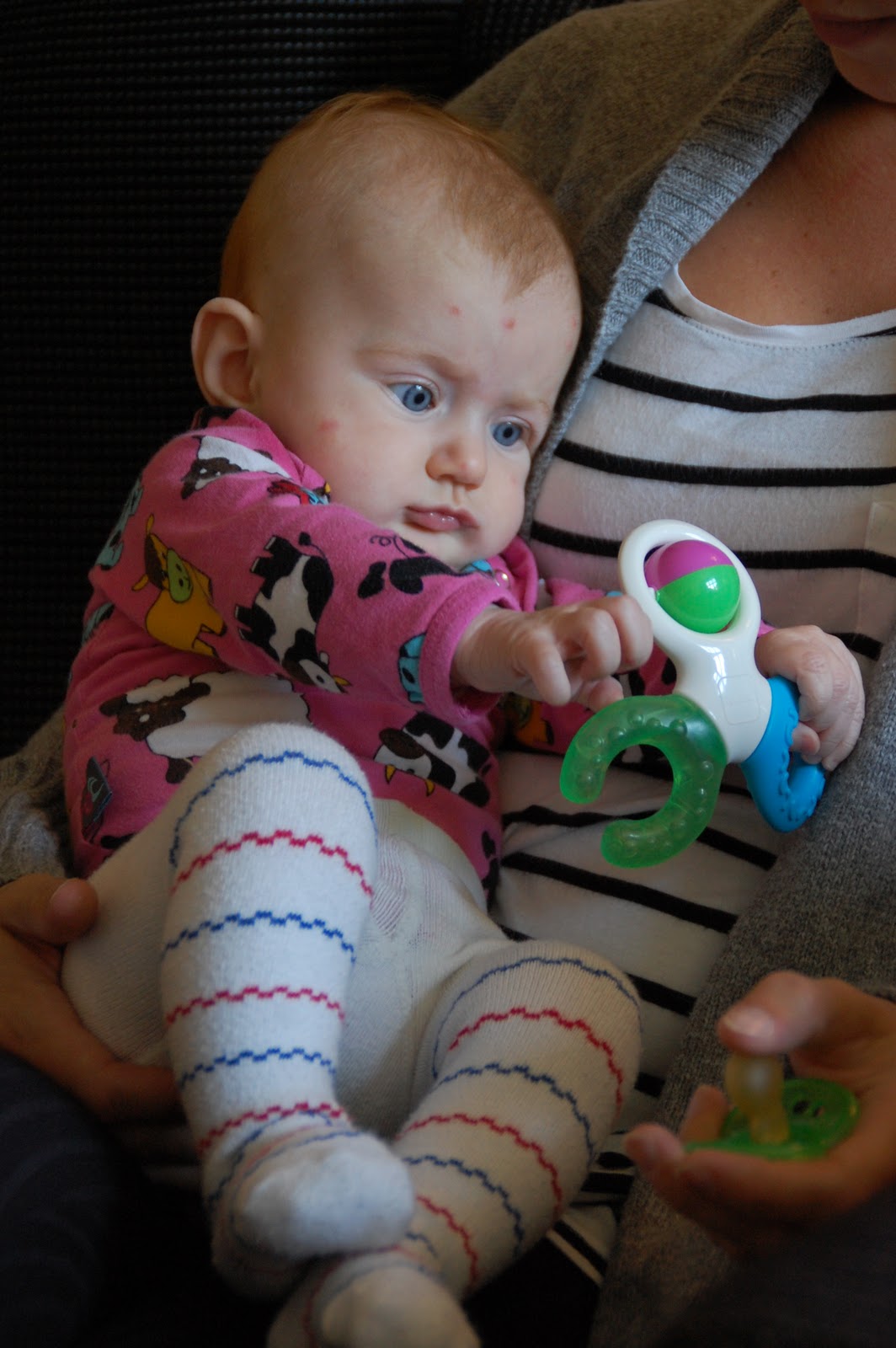 dejta 4 månader gravid