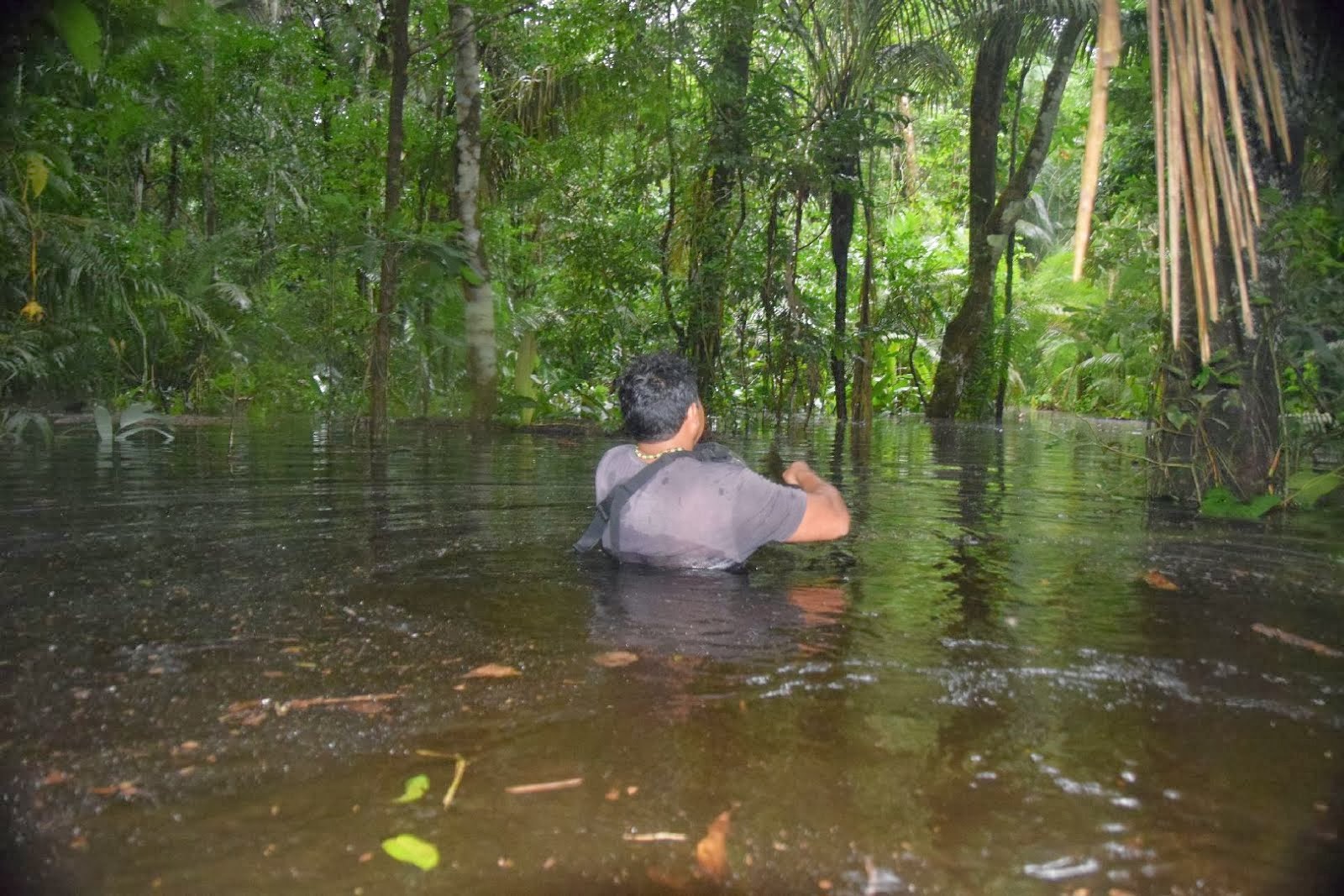 Fork It, Let's Travel!: Amazon jungle