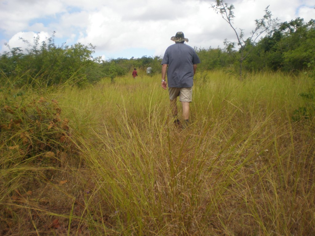 Recap Mining Zimbabwe Lime deposits in Dotito