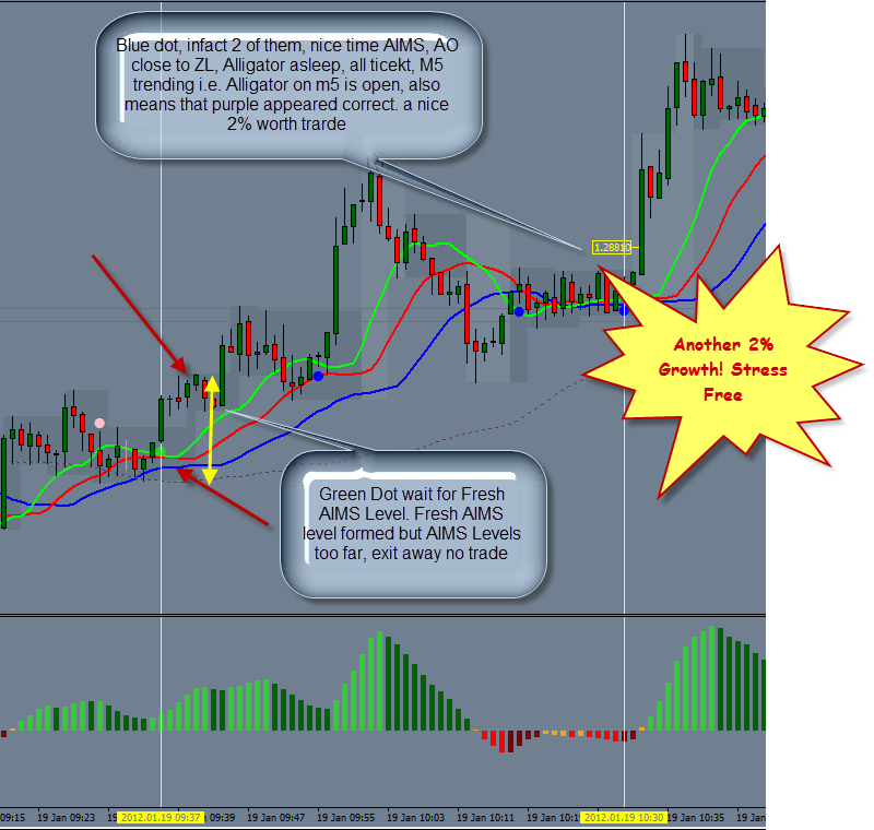 Grey label forex