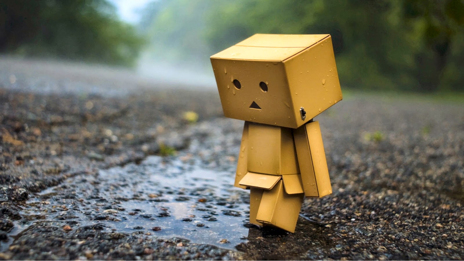 WALLPAPER ANDROID IPHONE Wallpaper Danbo Sedih
