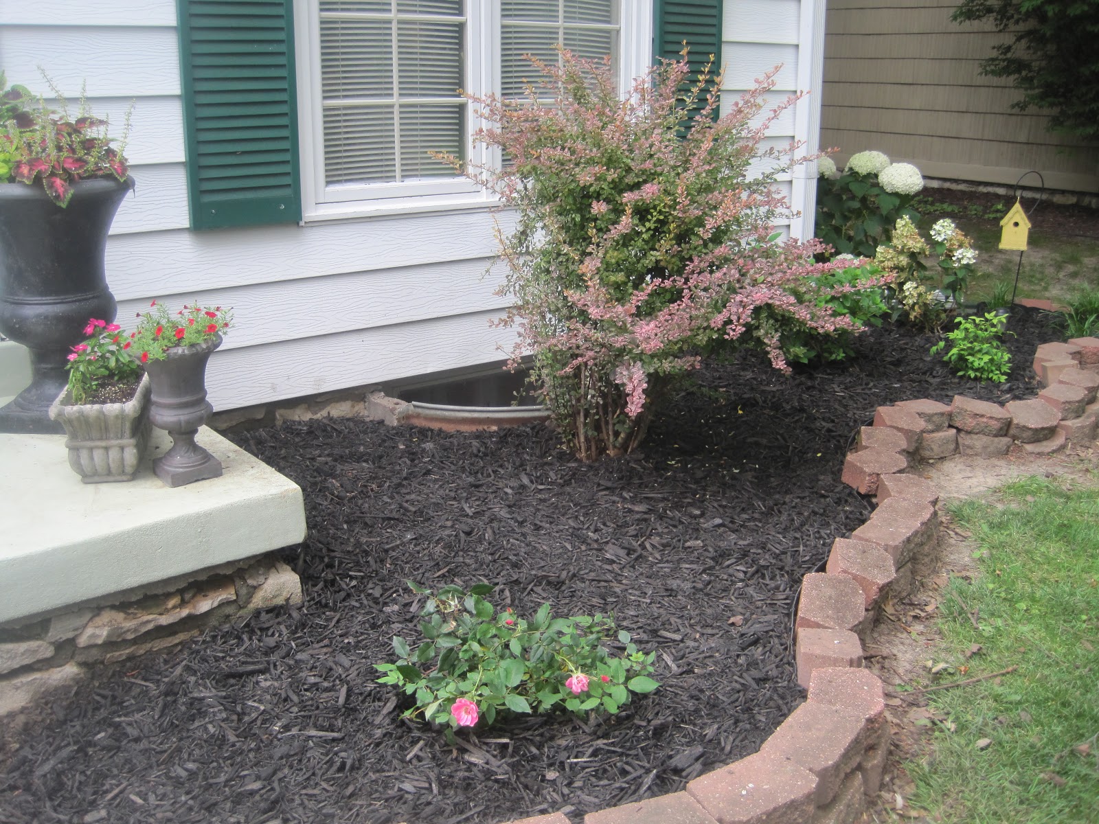 Decorated Chaos New Front Landscape Reveal