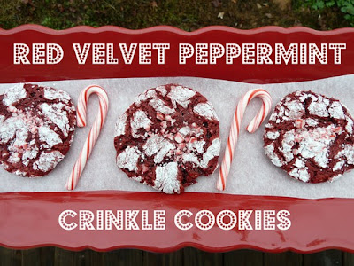 Hannah S Chocolate Crinkle Cookies Hannah S Chocolate Crinkle Cookies