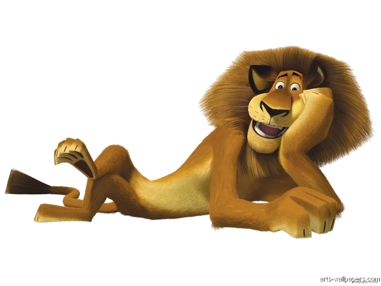 wallpaper: Wallpaper Icon Png