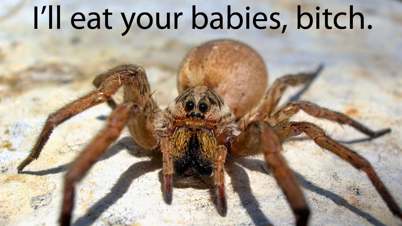 I like beer and babies. Why I Burned My House Down